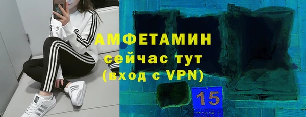 гидра Алексеевка