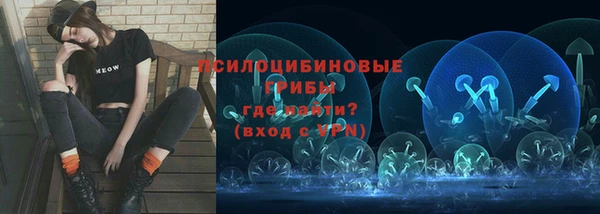 ПСИЛОЦИБИНОВЫЕ ГРИБЫ Алзамай