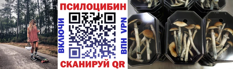 Псилоцибиновые грибы Cubensis  Долинск 